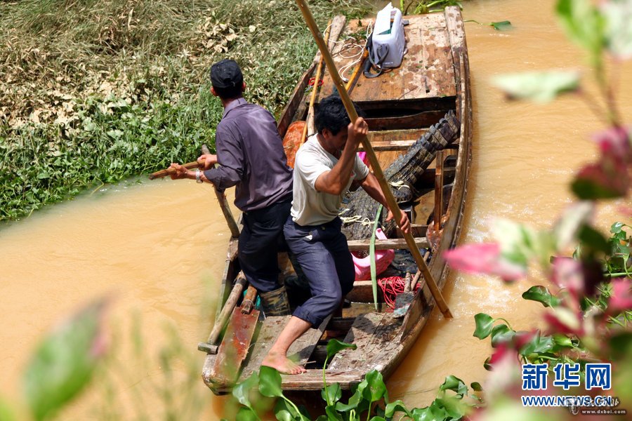 汕头一养殖场围墙被雨水冲毁 数十条鳄鱼出逃