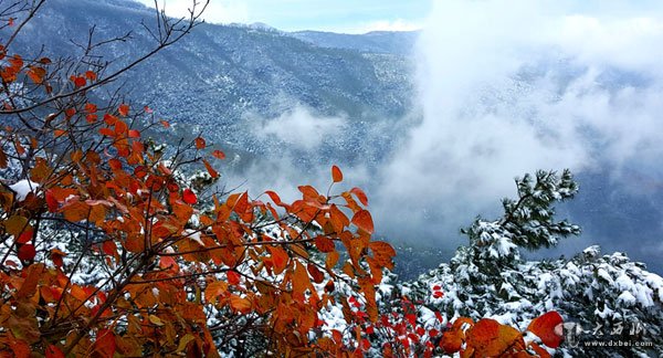 香山云海