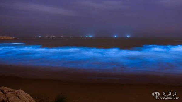 福建海滩现绝美“蓝海”宛如仙境