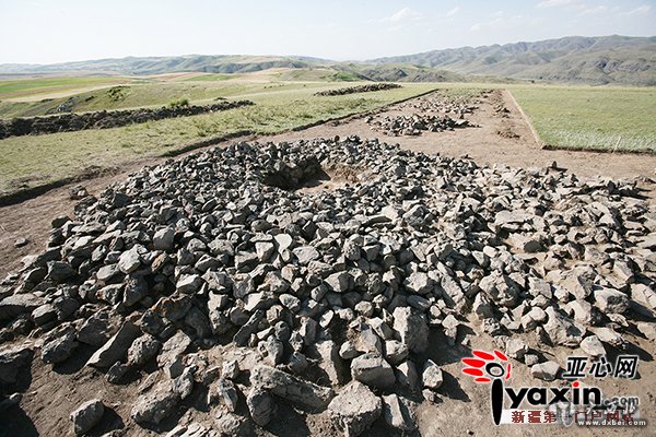 新疆木垒平顶山一古墓发现整只殉马遗骨