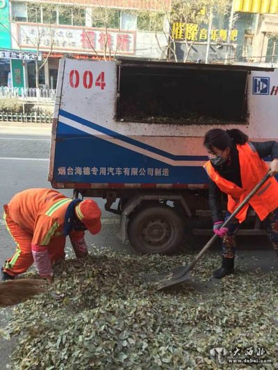 气温骤降 城关区一夜之间产生落叶100吨