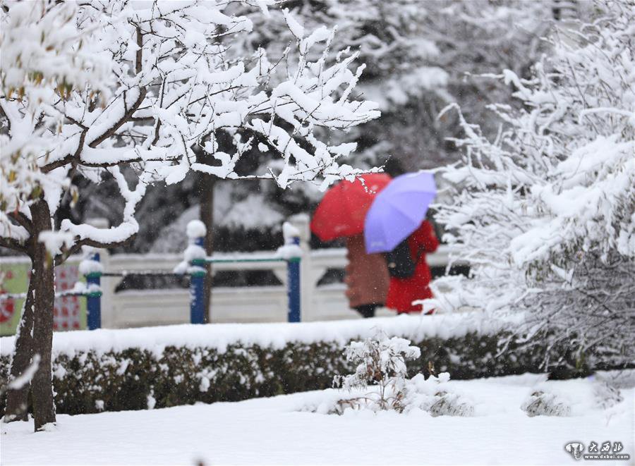 甘肃平凉：冰雪世界美如画