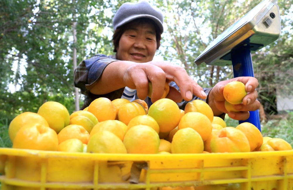 甘肃敦煌：鸣沙山下